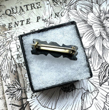 画像をギャラリービューアに読み込む, Antique Victorian Carved Whitby Jet Cravat Pin. Black English Jet Gemstone Stock/Lapel Pin. Tiny Antique Bow Brooch