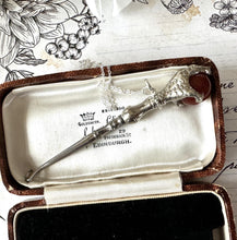 Cargar imagen en el visor de la galería, Victorian Scottish Carnelian Glove Button Hook