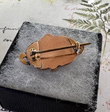 画像をギャラリービューアに読み込む, Antique Georgian 9ct Gold Cushion Cut Red Garnet Cravat Pin/Small Brooch