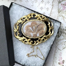 Carica l'immagine nel visualizzatore di Gallery, Antique Victorian Gold Gilt & Black Enamel Mourning Brooch With Prince of Wales Hairwork. Antique Sentimental Mourning Jewellery.