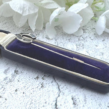 Load image into Gallery viewer, Antique Victorian Sterling Silver & Scottish Agate Horseshoe Stick Pin, Cased. Horseshoe Stock/Cravat/Tie Pin. Equestrian/Wedding Jewelry