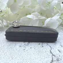 Load image into Gallery viewer, Antique Victorian Sterling Silver & Scottish Agate Horseshoe Stick Pin, Cased. Horseshoe Stock/Cravat/Tie Pin. Equestrian/Wedding Jewelry