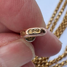 Carica l'immagine nel visualizzatore di Gallery, Antique Victorian 9ct Gold 53" Long Guard Chain Necklace. Gold Filled Belcher Chain With Solid 9ct Gold Dog-Clip. Muff Chain Necklace