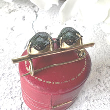 Load image into Gallery viewer, Victorian Real Scarab Beetle Rolled Gold Brooch: Antique Insect Love Token Jewellery