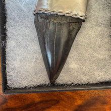 Load image into Gallery viewer, Large Megalodon Shark Tooth Sterling Silver Pendant: Vintage Real Fossil Statement Jewellery