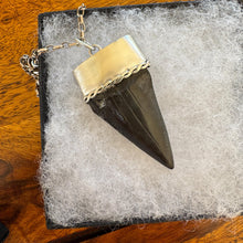 Load image into Gallery viewer, Large Megalodon Shark Tooth Sterling Silver Pendant: Vintage Real Fossil Statement Jewellery