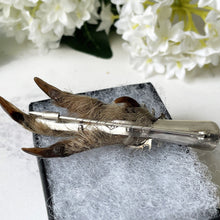 Lade das Bild in den Galerie-Viewer, Vintage 1940s Scottish Silver Grouse Foot Brooch. Sterling Silver & Amethyst Stag Head Claw/Talon, Hallmarked Glasgow. Silver Lapel/Kilt Pin