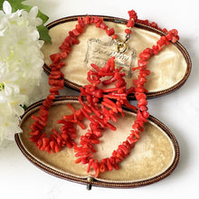 Lade das Bild in den Galerie-Viewer, Victorian Red Coral Nugget & Frond Beaded Necklace