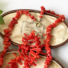 Lade das Bild in den Galerie-Viewer, Victorian Red Coral Nugget & Frond Beaded Necklace