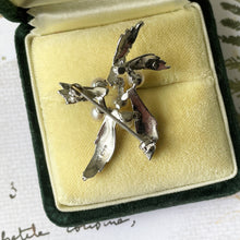 Carica l'immagine nel visualizzatore di Gallery, Vintage Mikimoto Pearl Cluster Starfish Brooch, Original Box. Sterling Silver Akoya Cultured Pearl Brooch. Modernist Saltwater Pearl Jewelry