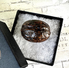 Carica l&#39;immagine nel visualizzatore di Gallery, Antique Sterling Silver Thimble Inside A Walnut Shell Etui Case
