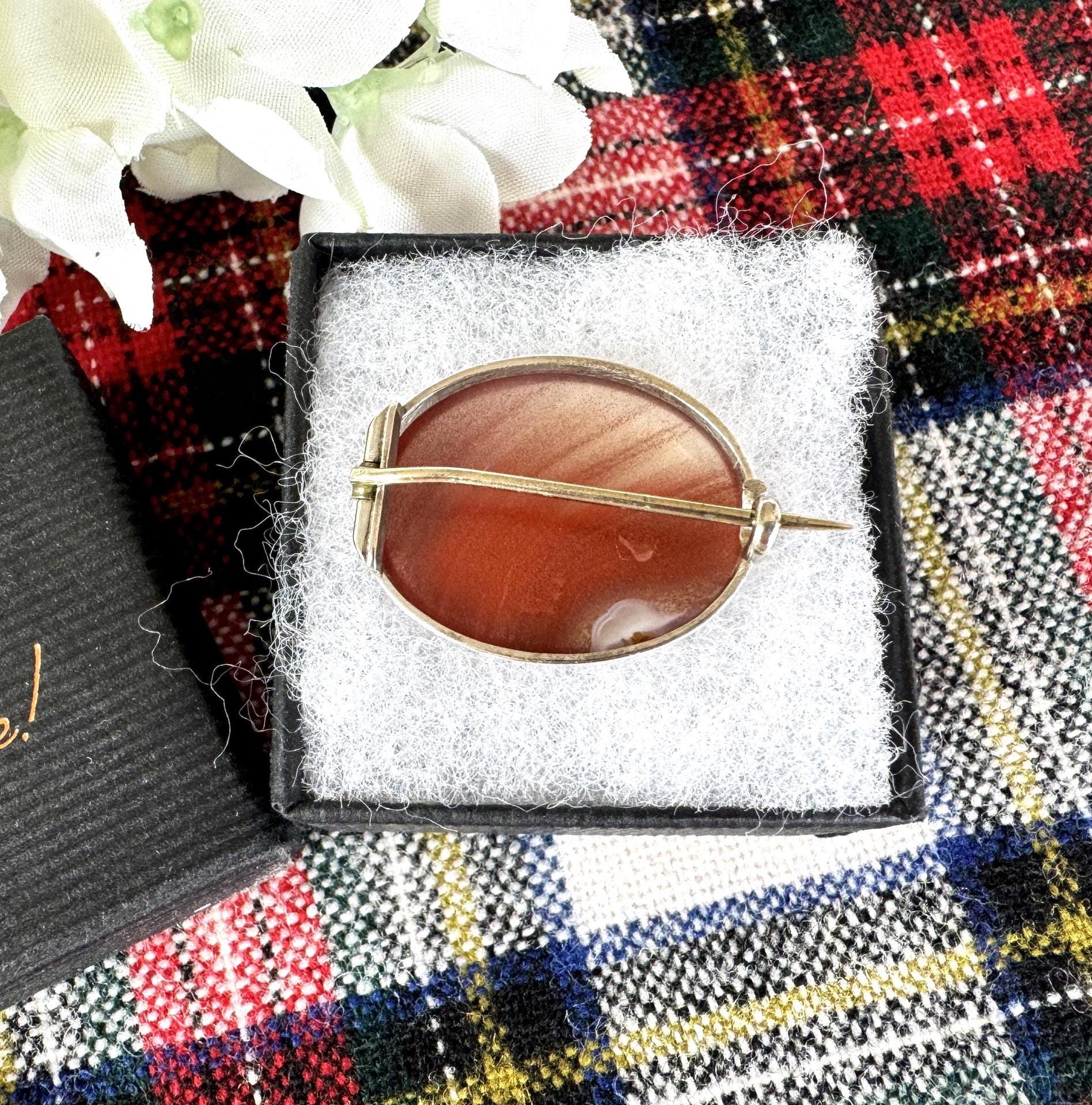 Antique Victorian Scottish Silver Carnelian Brooch/Lapel/Cravat Pin. Small Oval Sterling Silver & Red Chalcedony Minimalist Brooch