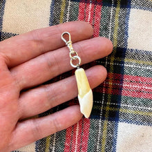 Cargar imagen en el visor de la galería, Antique Victorian Silver Stag Tooth Breloque Pendant With Dog-Clip
