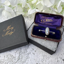 画像をギャラリービューアに読み込む, Antique Victorian &quot;Coque De Perle&quot; Silver Stock Pin Brooch Boxed. Sterling Silver &amp; Pearl Equestrian Nappy Pin Style Lapel/Cravat/Tie Pin
