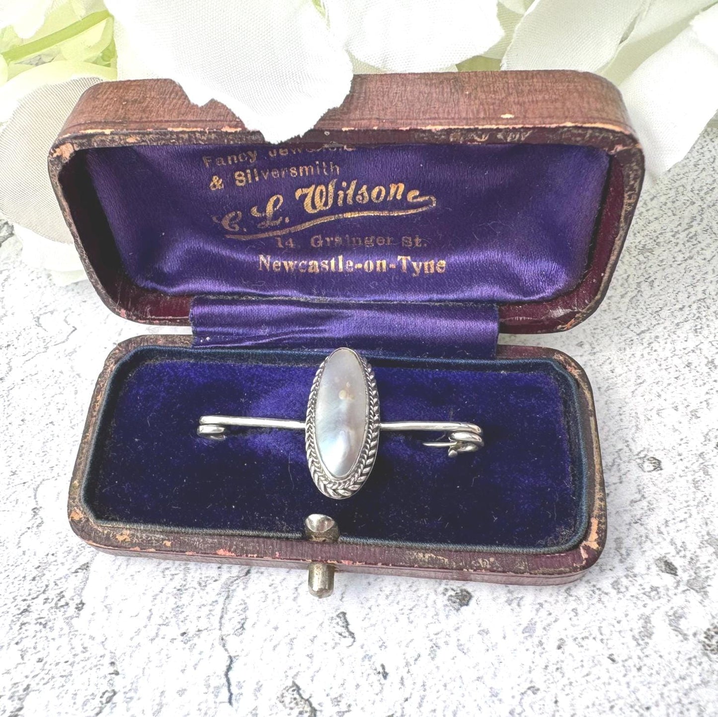 Antique Victorian "Coque De Perle" Silver Stock Pin Brooch Boxed