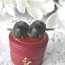 Load image into Gallery viewer, Victorian Real Scarab Beetle Rolled Gold Brooch: Antique Insect Love Token Jewellery
