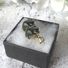 Load image into Gallery viewer, Victorian Real Scarab Beetle Rolled Gold Brooch: Antique Insect Love Token Jewellery
