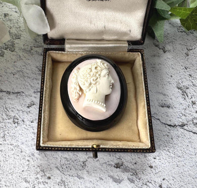 Antique Victorian Carved Coral Cameo Whitby Jet Brooch