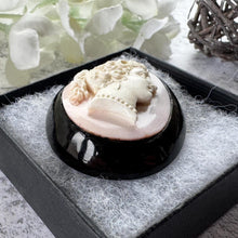 Load image into Gallery viewer, Antique Victorian Carved Coral Cameo Whitby Jet Brooch
