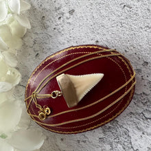 Load image into Gallery viewer, Antique 9ct Gold Shark Tooth Pendant, Great White, South Africa 1919: Optional Gold Chain
