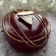 Load image into Gallery viewer, Antique 9ct Gold Shark Tooth Pendant, Great White, South Africa 1919: Optional Gold Chain
