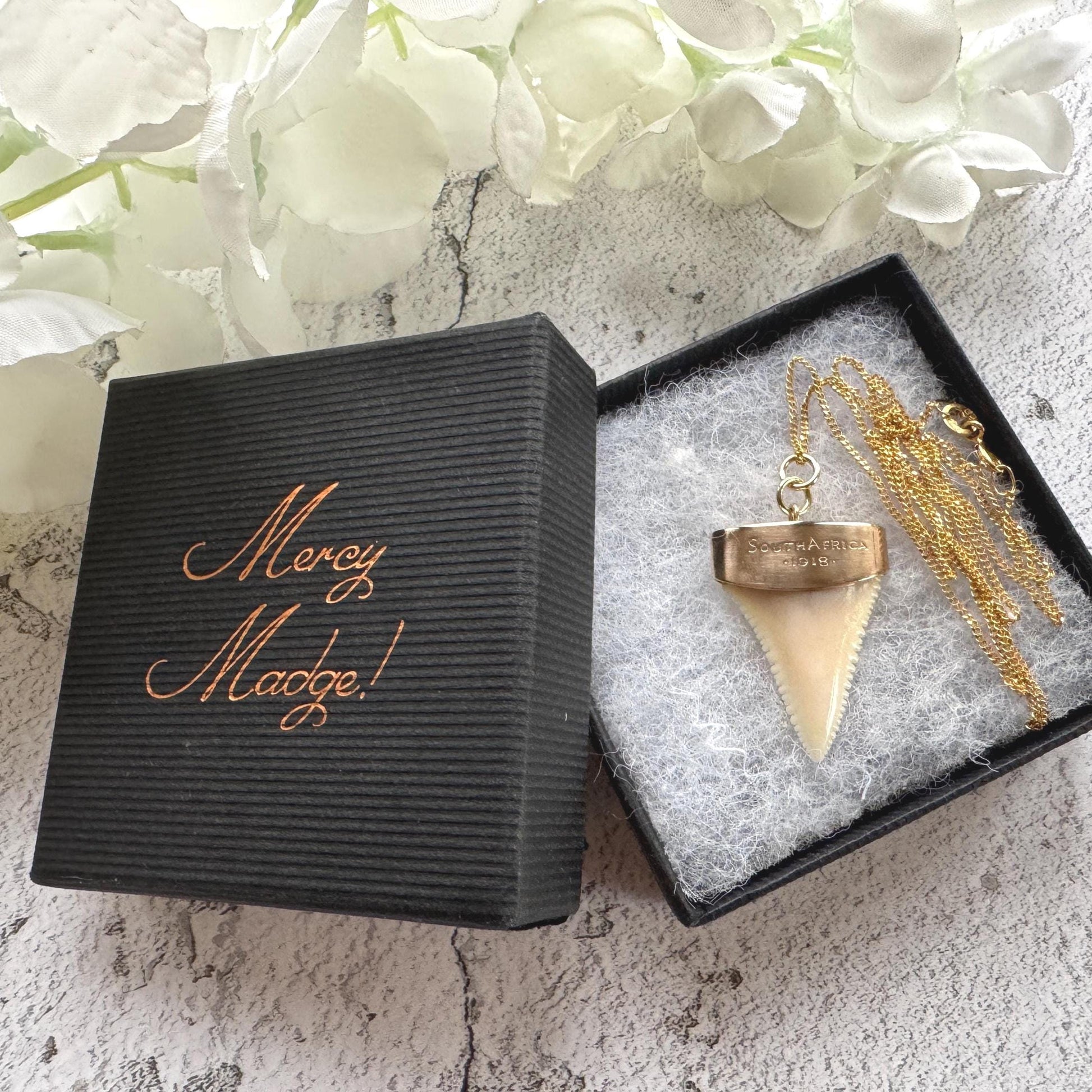 Antique 9ct Gold Shark Tooth Pendant, Great White, South Africa 1919: Optional Gold Chain