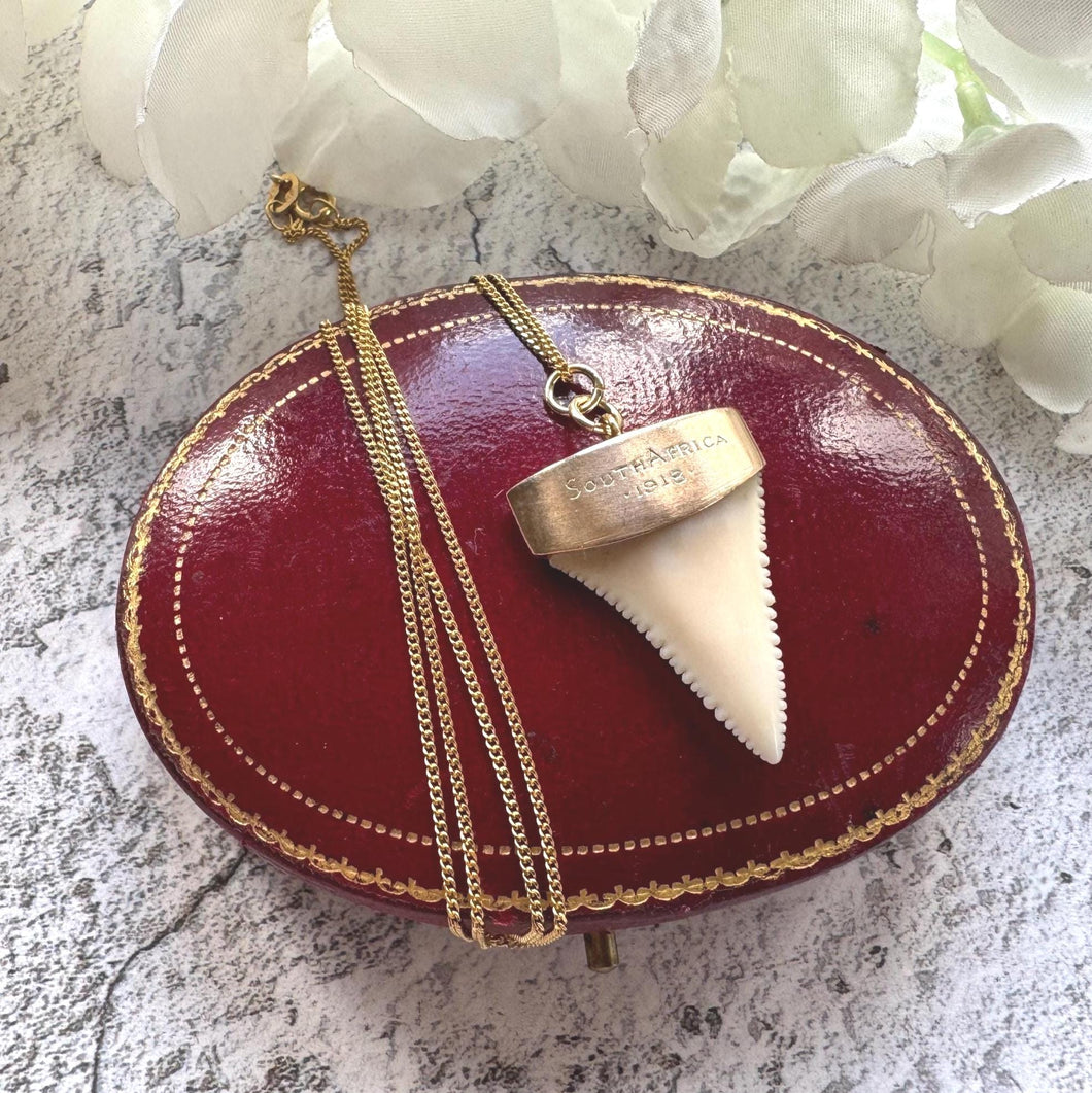 Antique 9ct Gold Shark Tooth Pendant, Great White, South Africa 1919: Optional Gold Chain