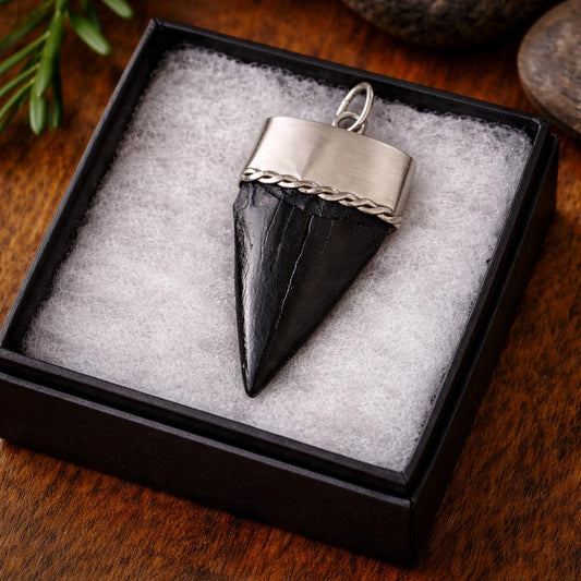 Large Megalodon Shark Tooth Sterling Silver Pendant: Vintage Real Fossil Statement Jewellery
