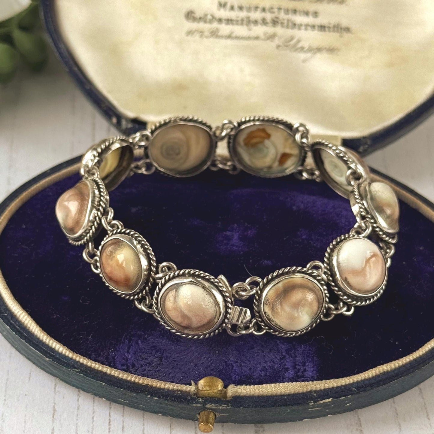 Antique Victorian Cats Eye Operculum Sterling Silver Bracelet