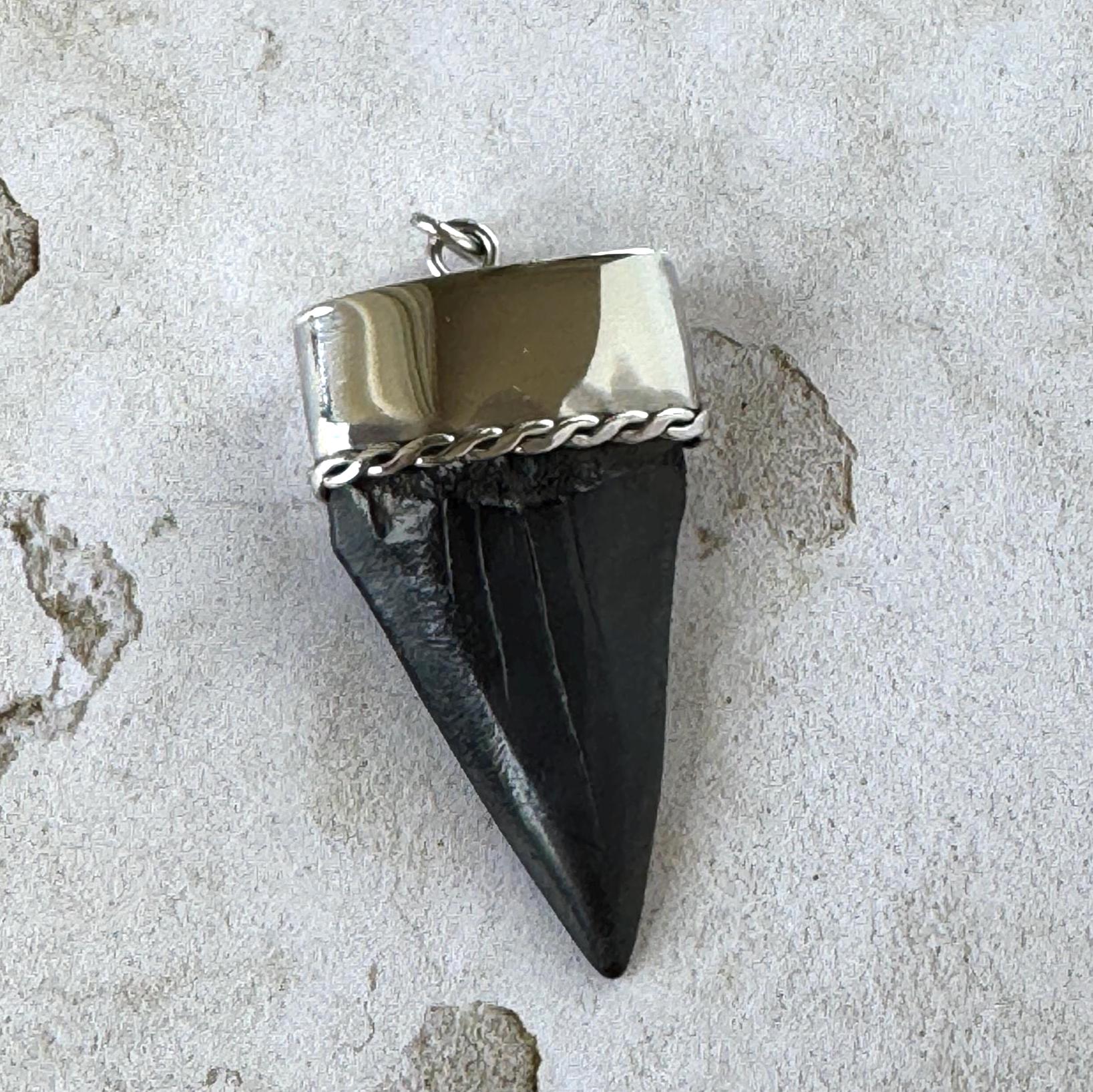 Large Megalodon Shark Tooth Sterling Silver Pendant