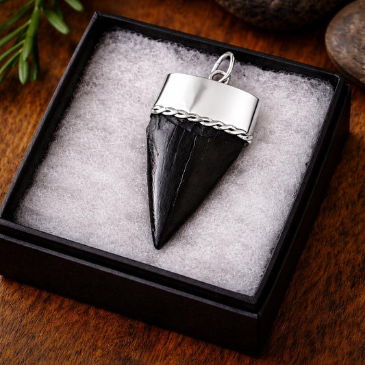 Large Megalodon Shark Tooth Sterling Silver Pendant