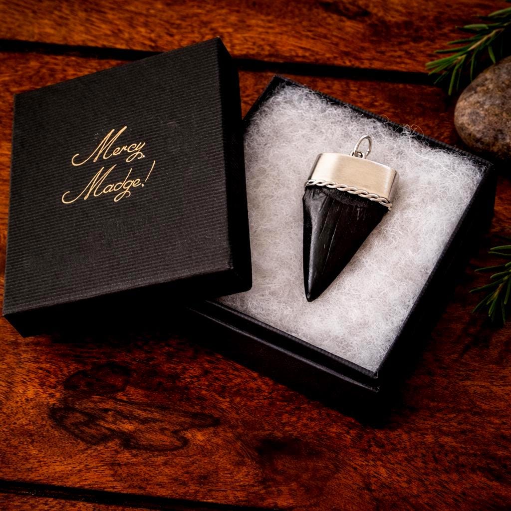 Large Megalodon Shark Tooth Sterling Silver Pendant