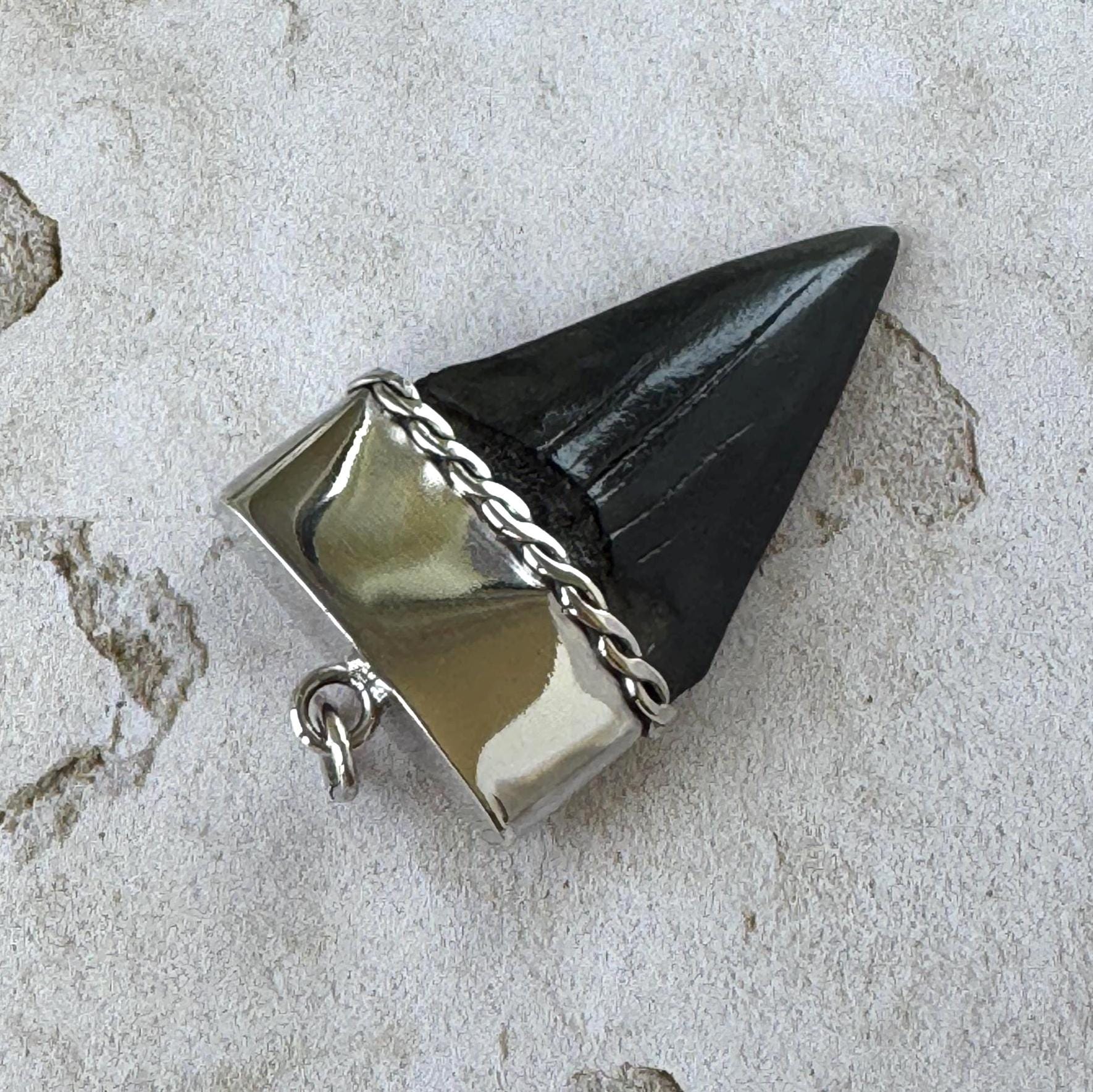 Large Megalodon Shark Tooth Sterling Silver Pendant