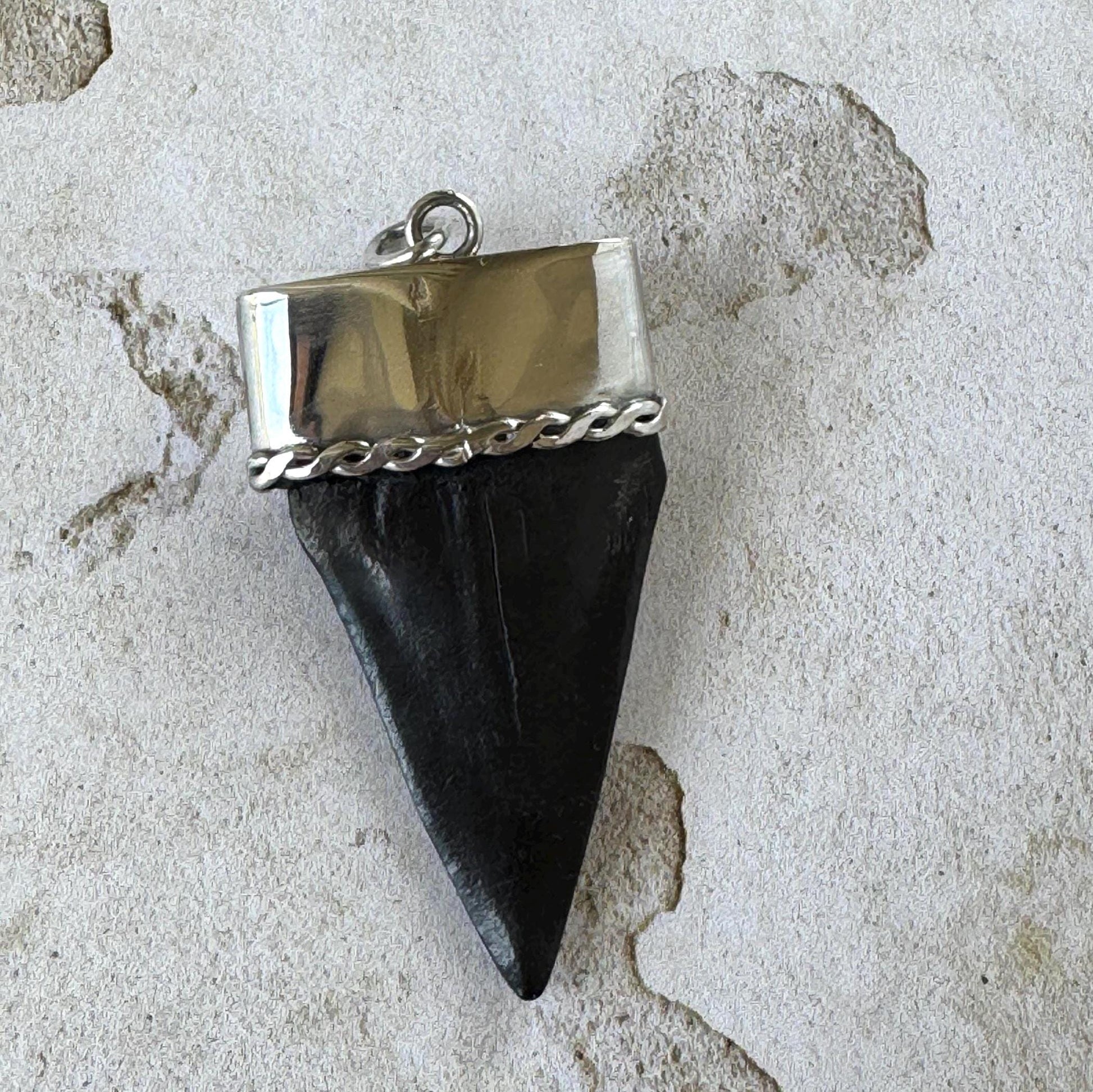 Large Megalodon Shark Tooth Sterling Silver Pendant