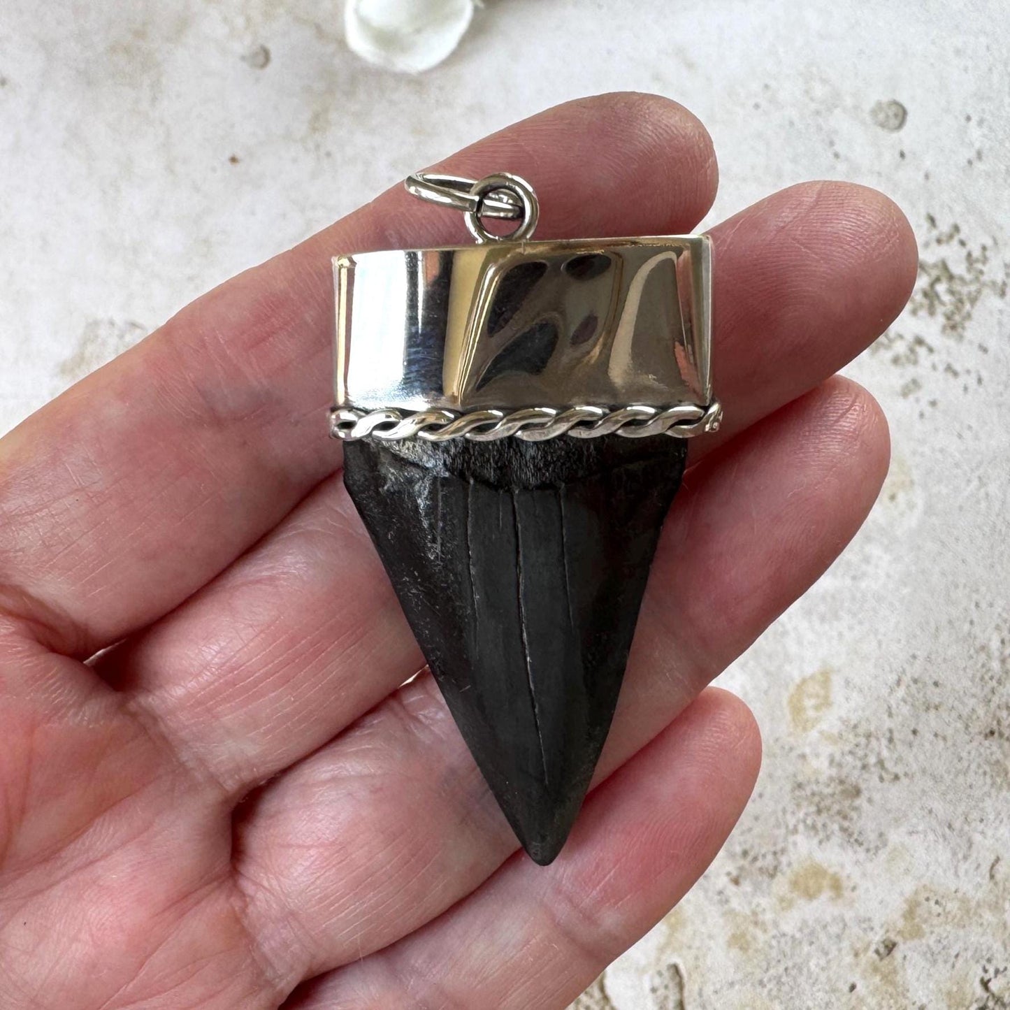 Large Megalodon Shark Tooth Sterling Silver Pendant