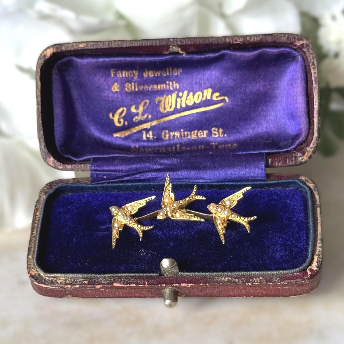 Antique Victorian 18ct Gold Swallow Brooch with Seed Pearls, Original Retailer's Box