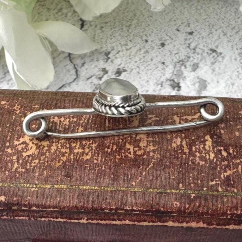 Rare Antique Georgian Silver Brooch | Coque de Perle Nautilus Shell Cravat Pin, c.1800