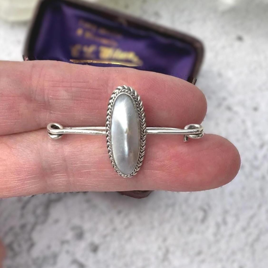 Rare Antique Georgian Silver Brooch | Coque de Perle Nautilus Shell Cravat Pin, c.1800