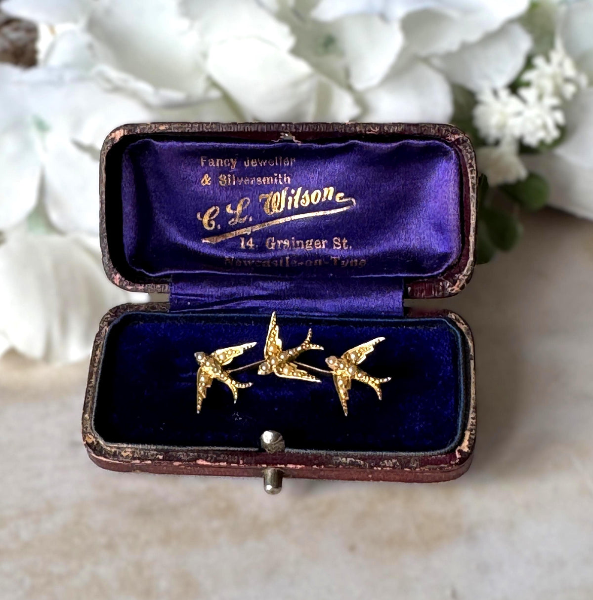 Antique Victorian 18ct Gold Swallow Brooch with Seed Pearls, Original Retailer's Box