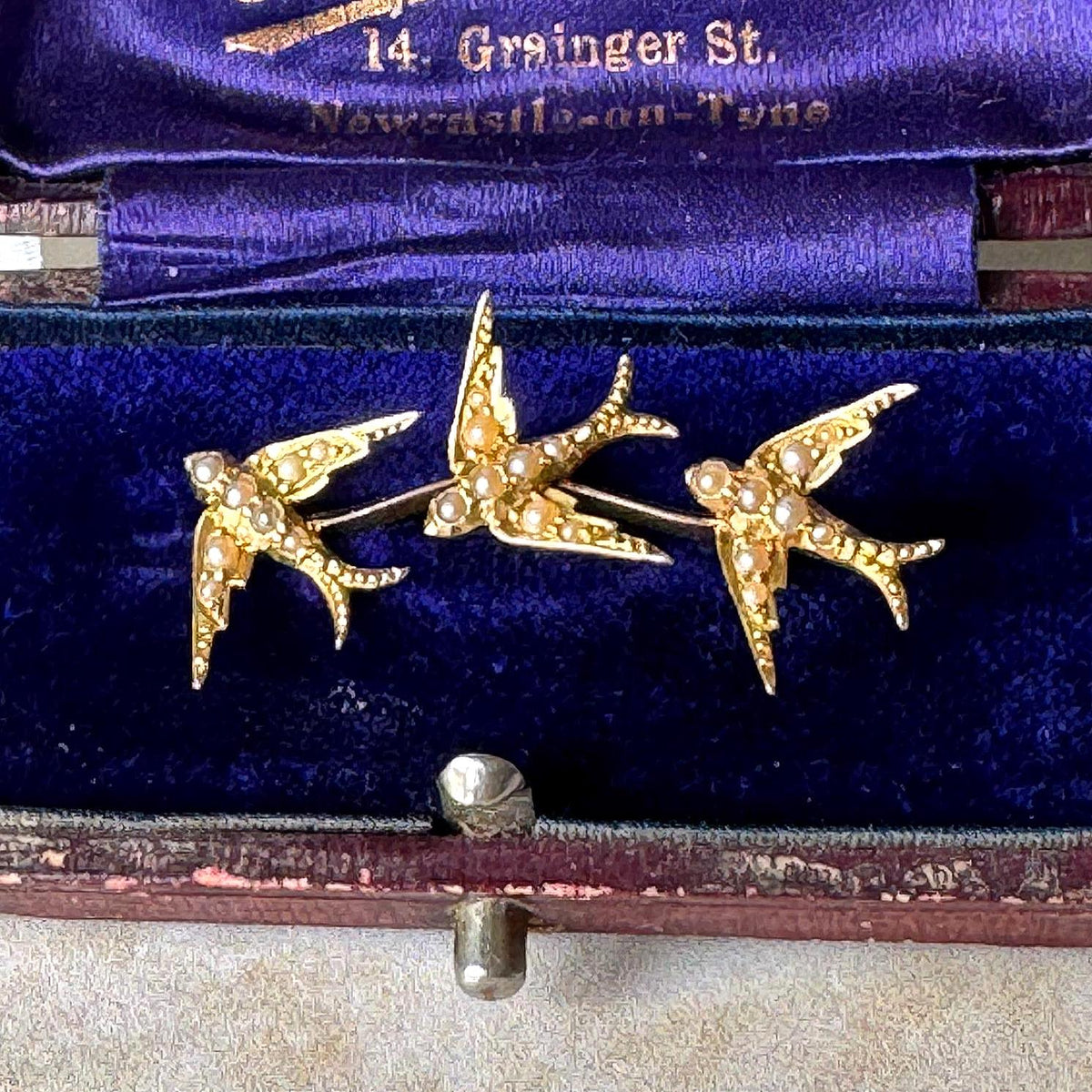 Antique Victorian 18ct Gold Swallow Brooch with Seed Pearls, Original Retailer's Box