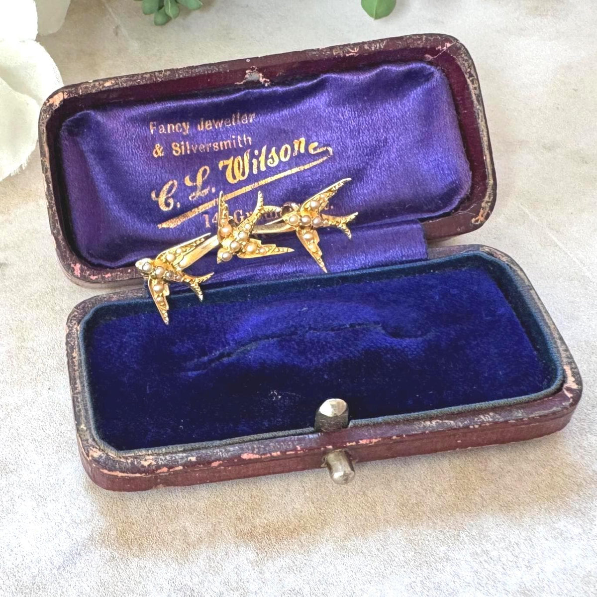 Antique Victorian 18ct Gold Swallow Brooch with Seed Pearls, Original Retailer's Box