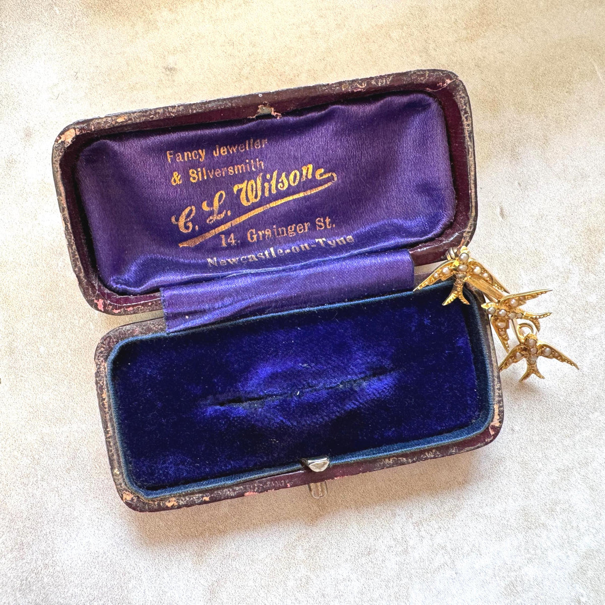 Antique Victorian 18ct Gold Swallow Brooch with Seed Pearls, Original Retailer's Box