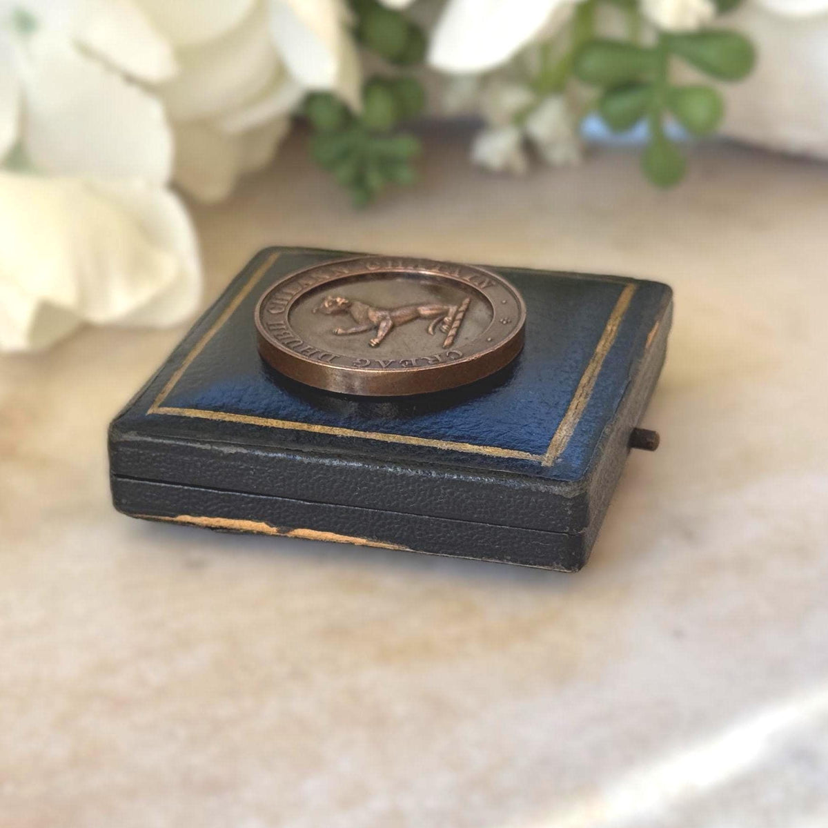 Antique Cased 1895 Bronze Medal Commemorating the Allegiance of Scottish Highland Clans Chattan and Macpherson