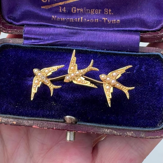 Victorian 18ct Gold Swallow Brooch with Seed Pearls, Original Retailer's Box