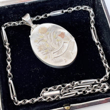 Load image into Gallery viewer, Victorian Aesthetic Silver &amp; Gold Locket Necklace
