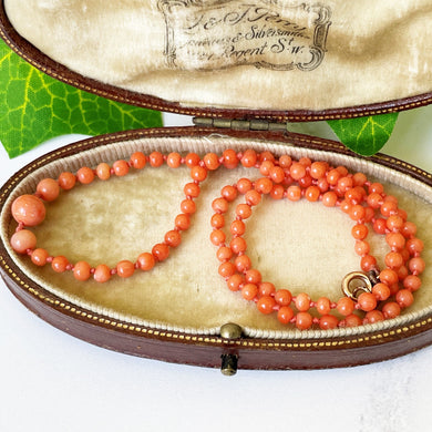 Antique Red Coral Graduated Bead Necklace. 1920s Salmon Pink Natural Mediterranean Coral Necklace, Hand Knotted, Gold Clasp, 16-1/2" 46cm