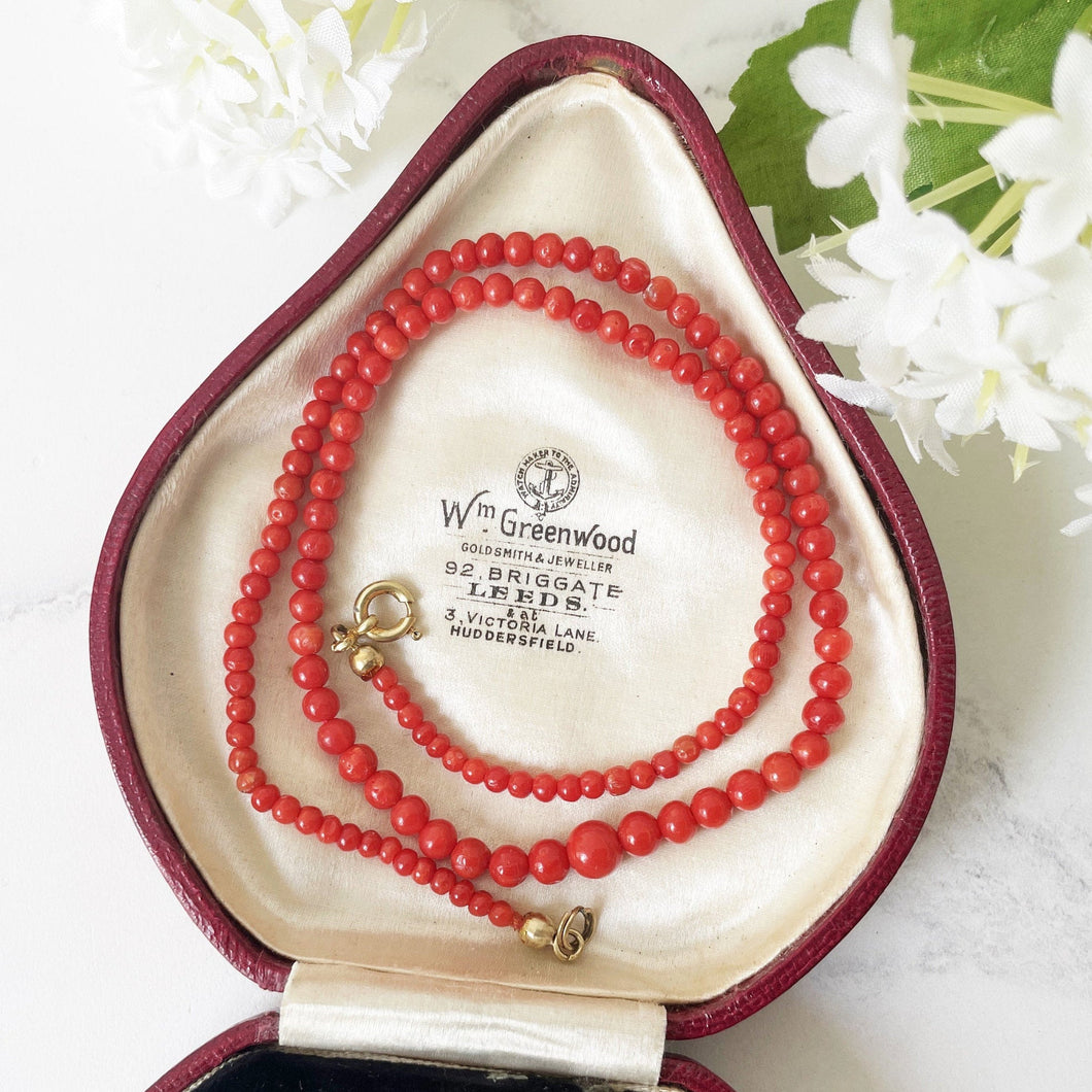 Vintage Natural Red Coral Necklace. Graduated Genuine Coral Bead Necklace, Gold Clasp, 17" 43cm