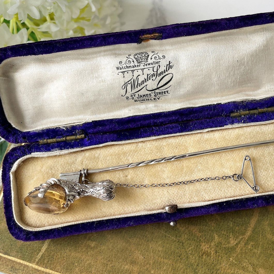Victorian Scottish Citrine Silver Grouse Claw Kilt Pin In Antique Box. Antique Sterling Silver Scottish Cairngorm Huge Stick Pin Brooch.
