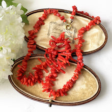 Cargar imagen en el visor de la galería, Victorian Red Coral Nugget &amp; Frond Beaded Necklace

