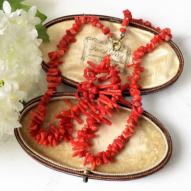 Victorian Red Coral Nugget & Frond Beaded Necklace